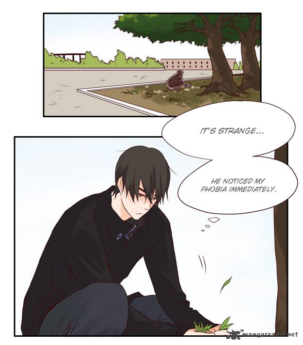 Pine In The Flower Garden 13 31