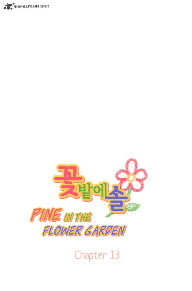 Pine In The Flower Garden 13 4