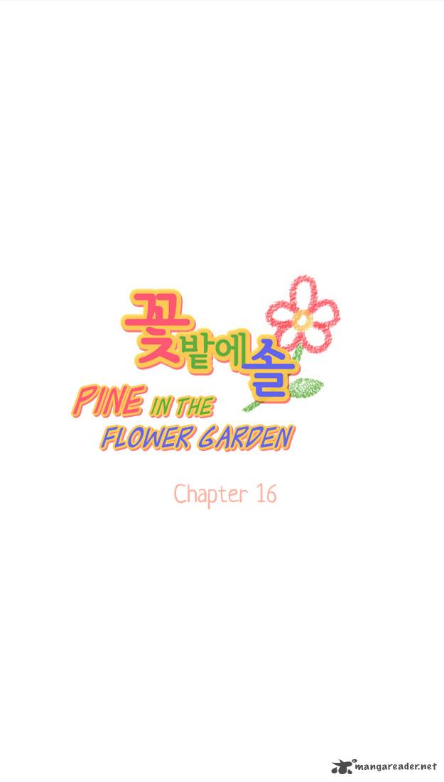 Pine In The Flower Garden 16 5