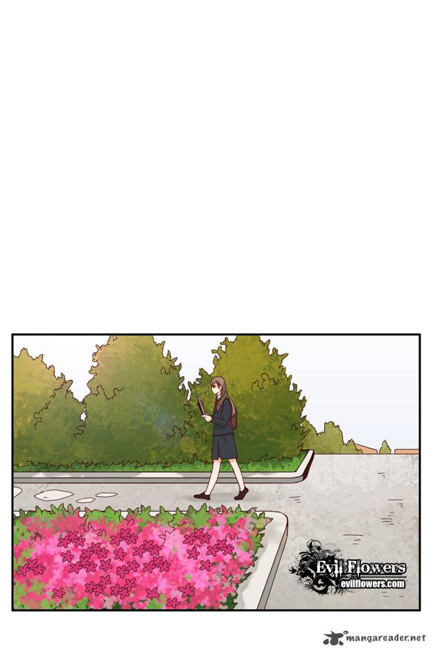 Pine In The Flower Garden 19 17