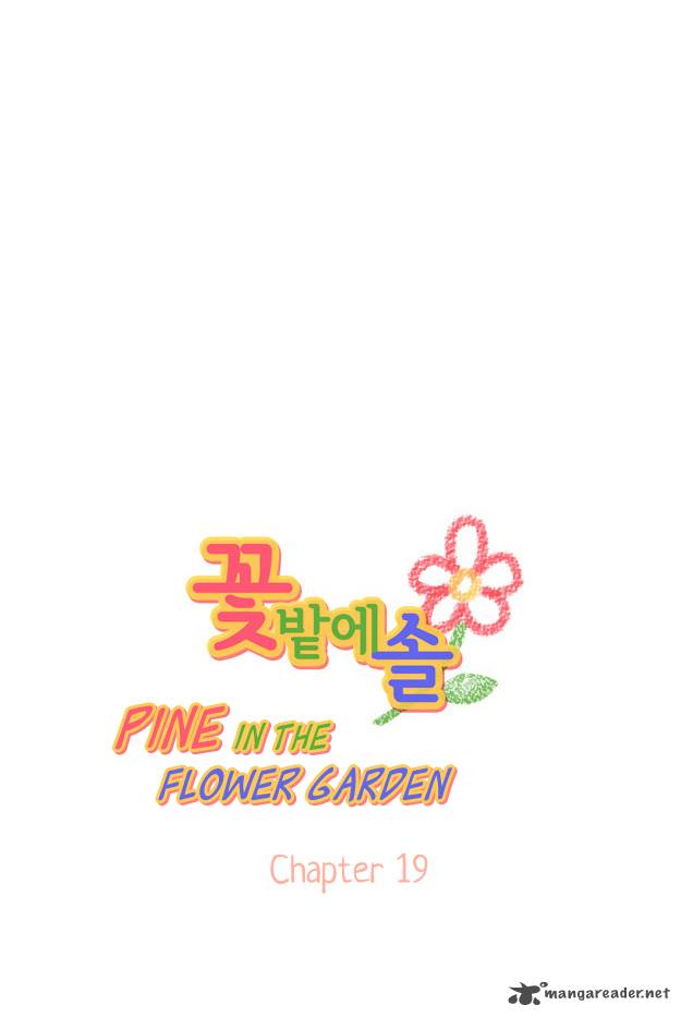 Pine In The Flower Garden 19 6