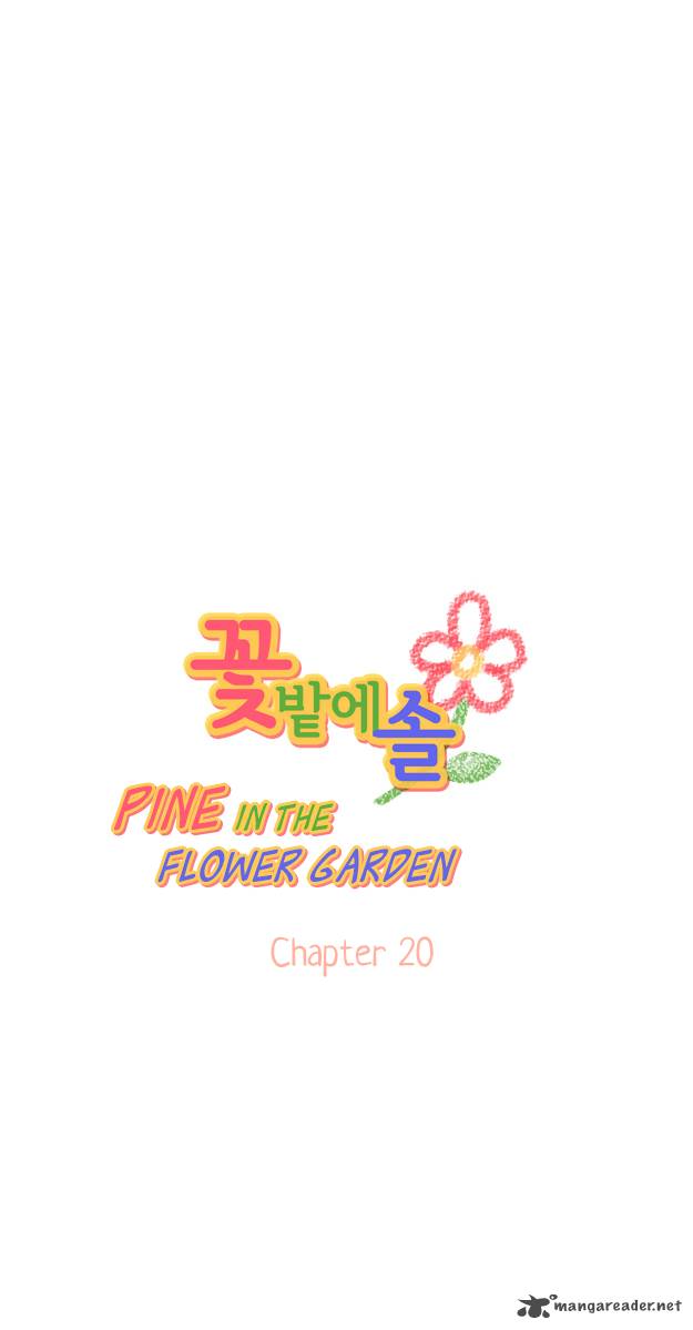 Pine In The Flower Garden 20 4