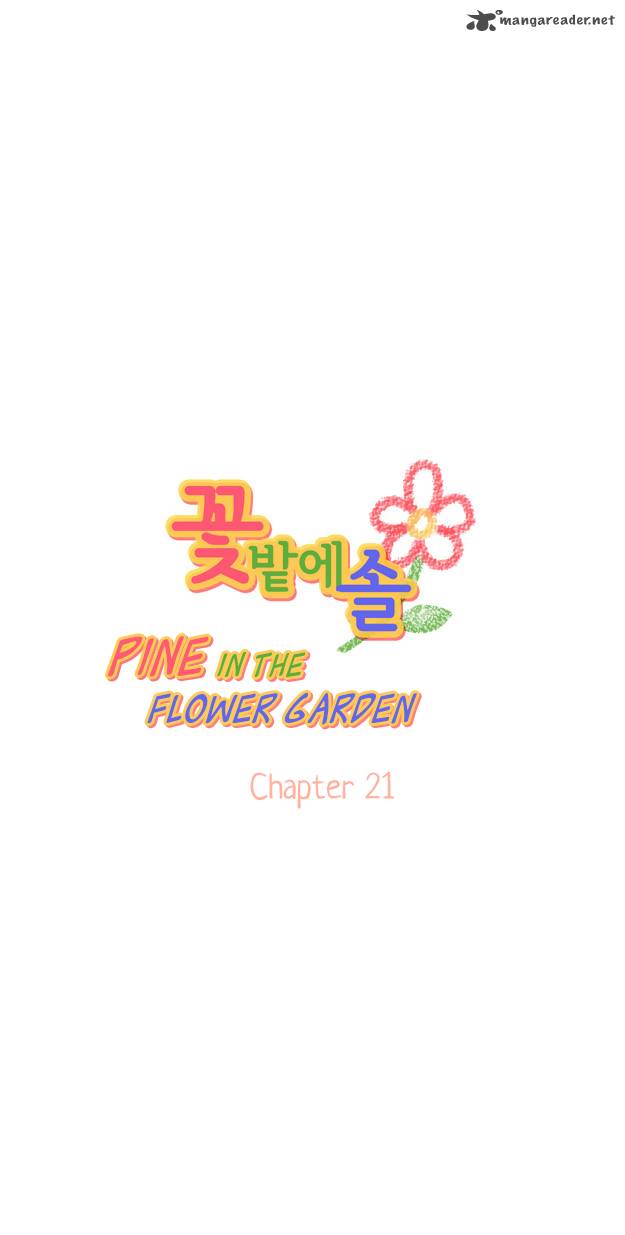 Pine In The Flower Garden 21 4