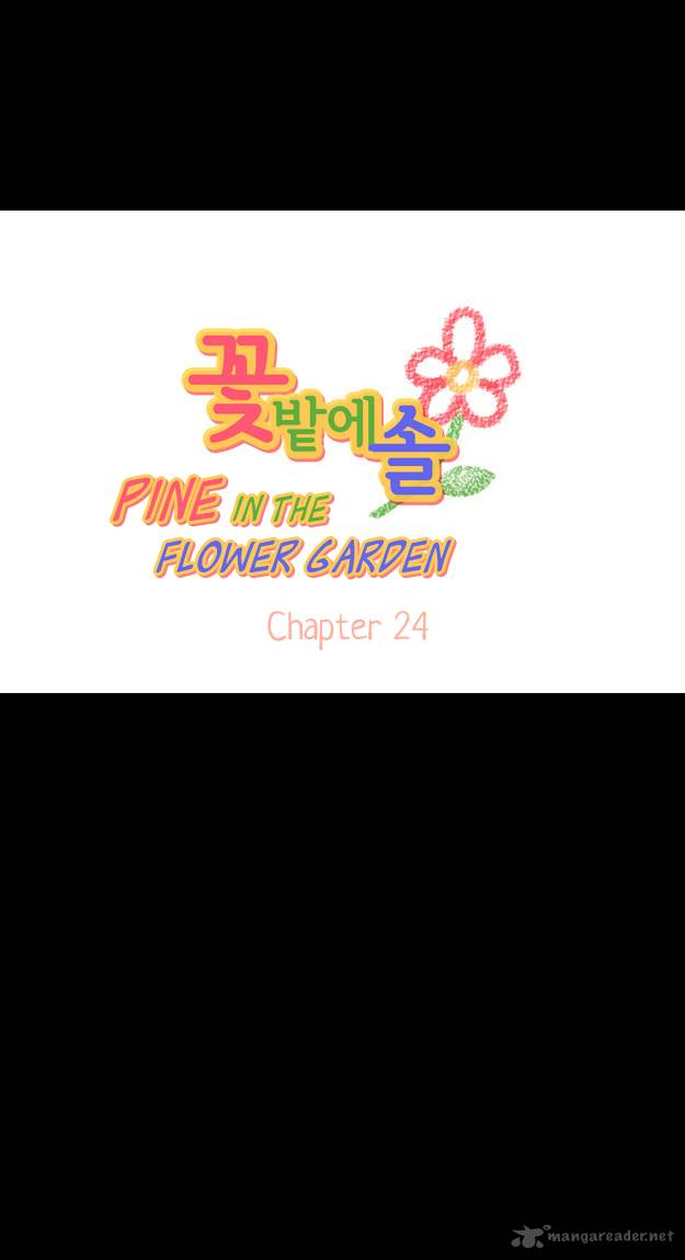 Pine In The Flower Garden 24 5