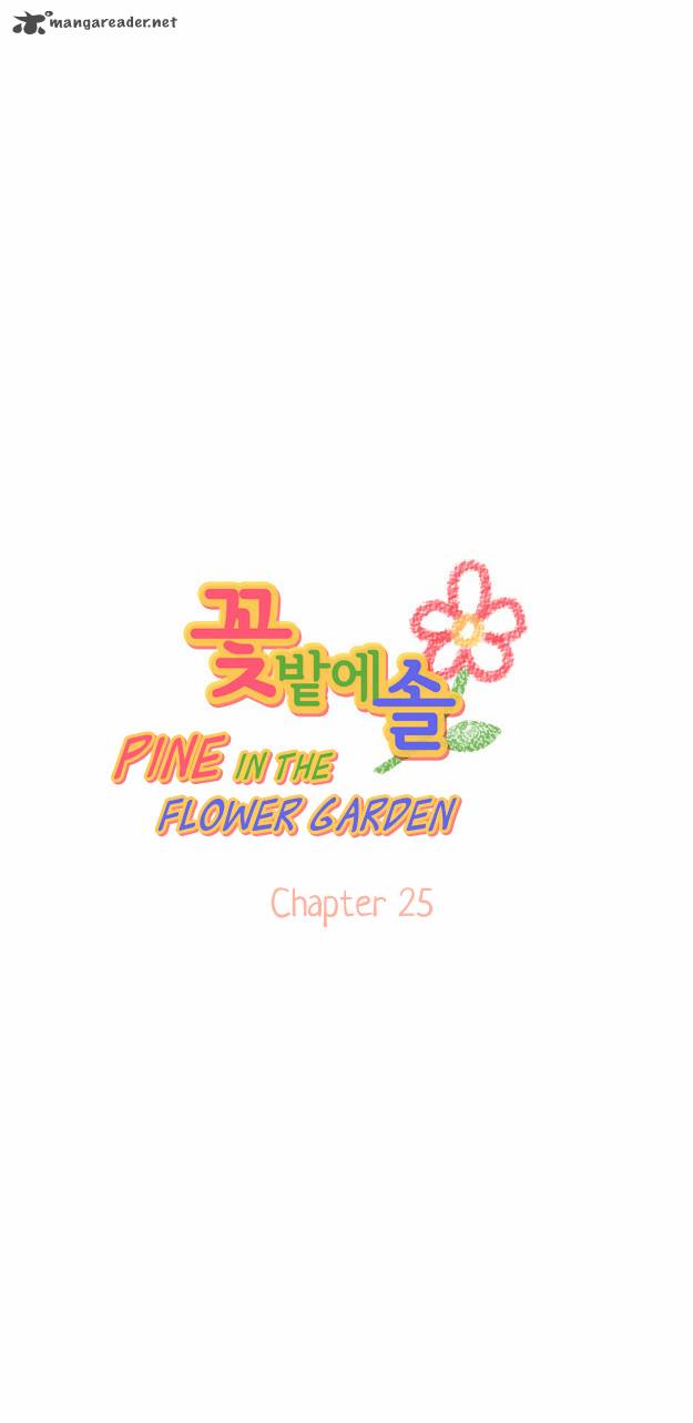 Pine In The Flower Garden 25 2