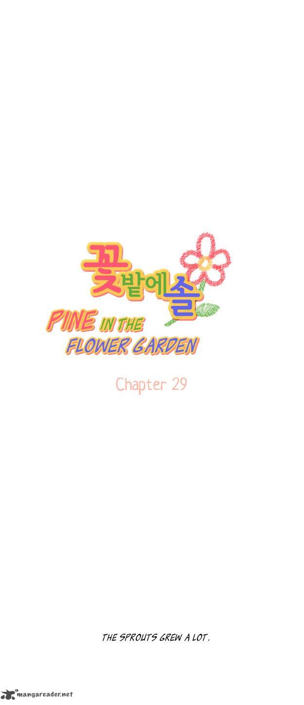 Pine In The Flower Garden 29 2