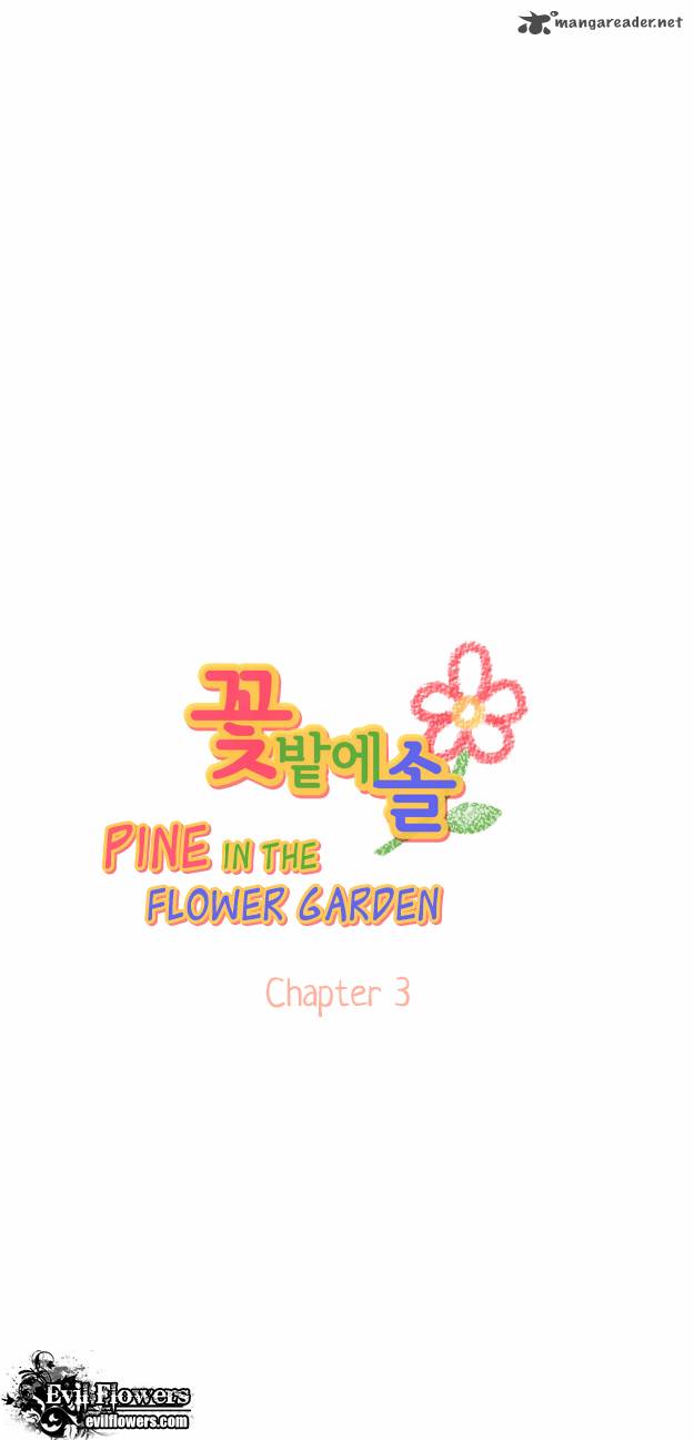 Pine In The Flower Garden 3 7
