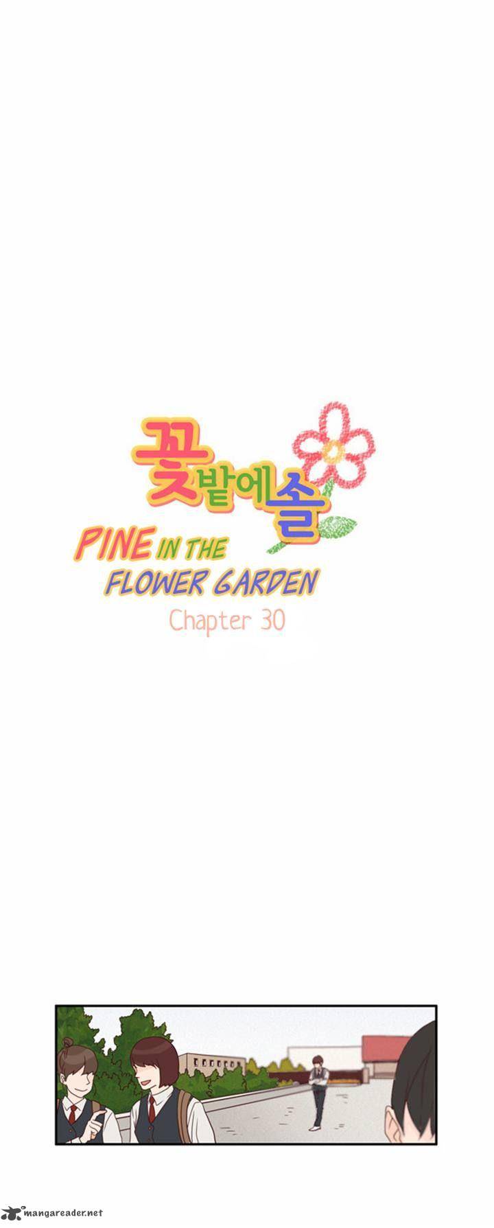 Pine In The Flower Garden 30 1