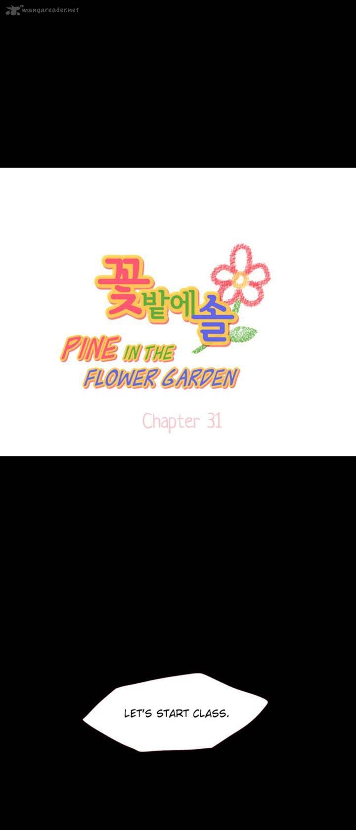 Pine In The Flower Garden 31 1
