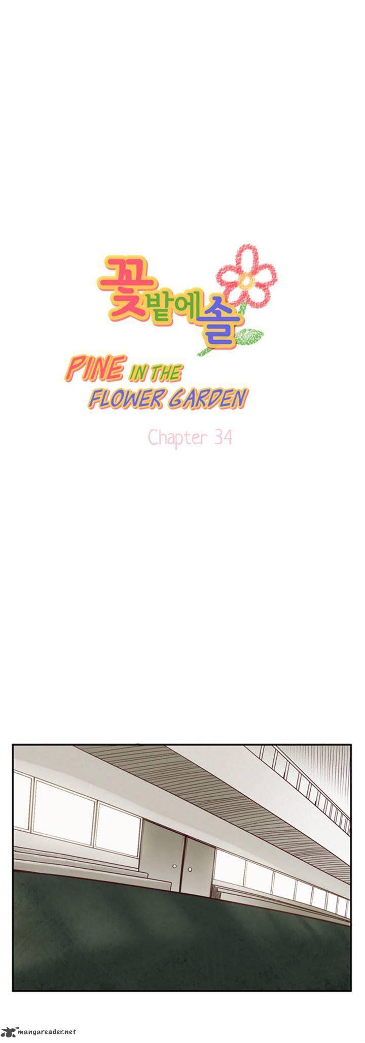 Pine In The Flower Garden 34 1