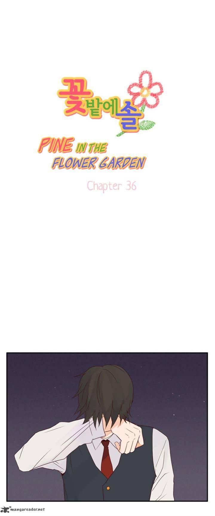Pine In The Flower Garden 36 3