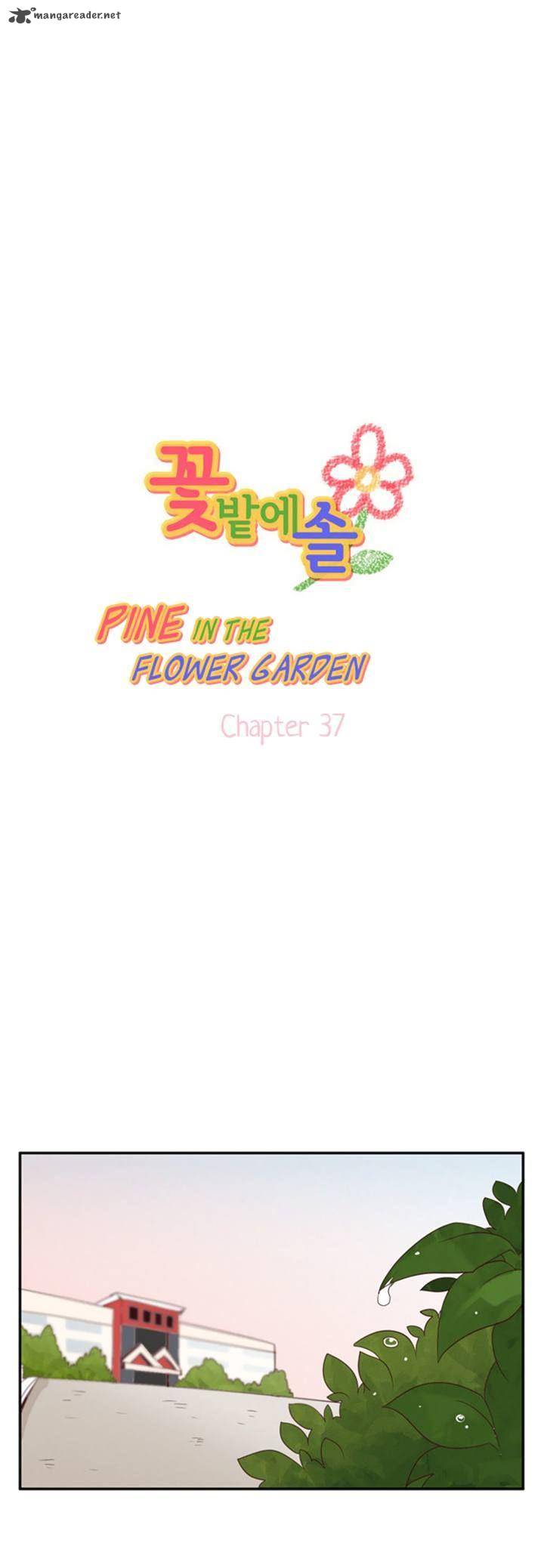 Pine In The Flower Garden 37 1