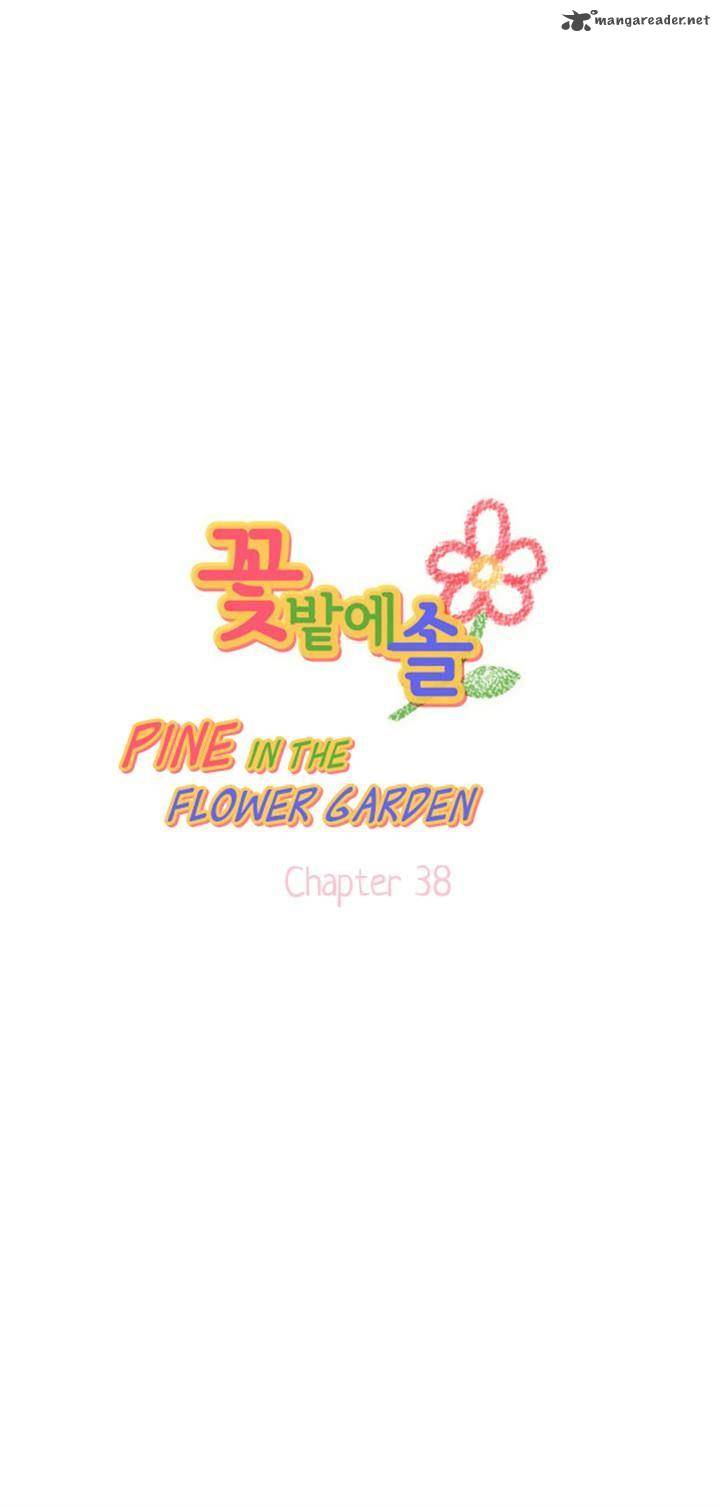 Pine In The Flower Garden 38 2