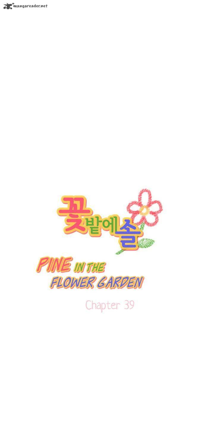 Pine In The Flower Garden 39 1