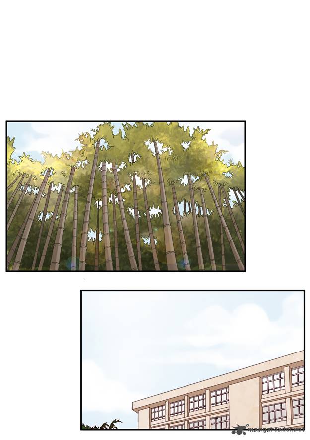 Pine In The Flower Garden 4 4