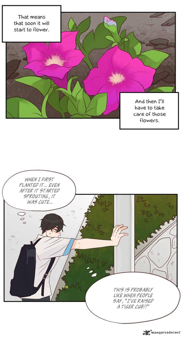 Pine In The Flower Garden 40 4