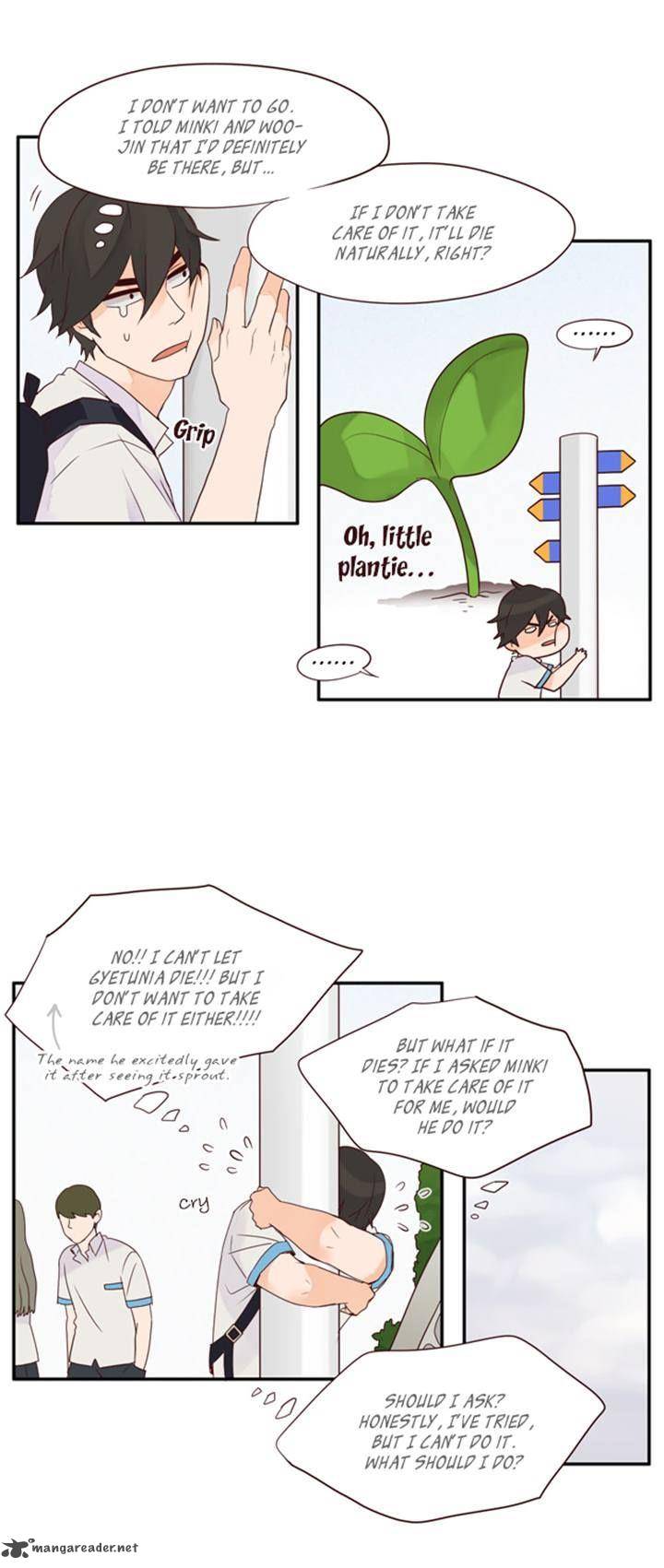 Pine In The Flower Garden 40 5