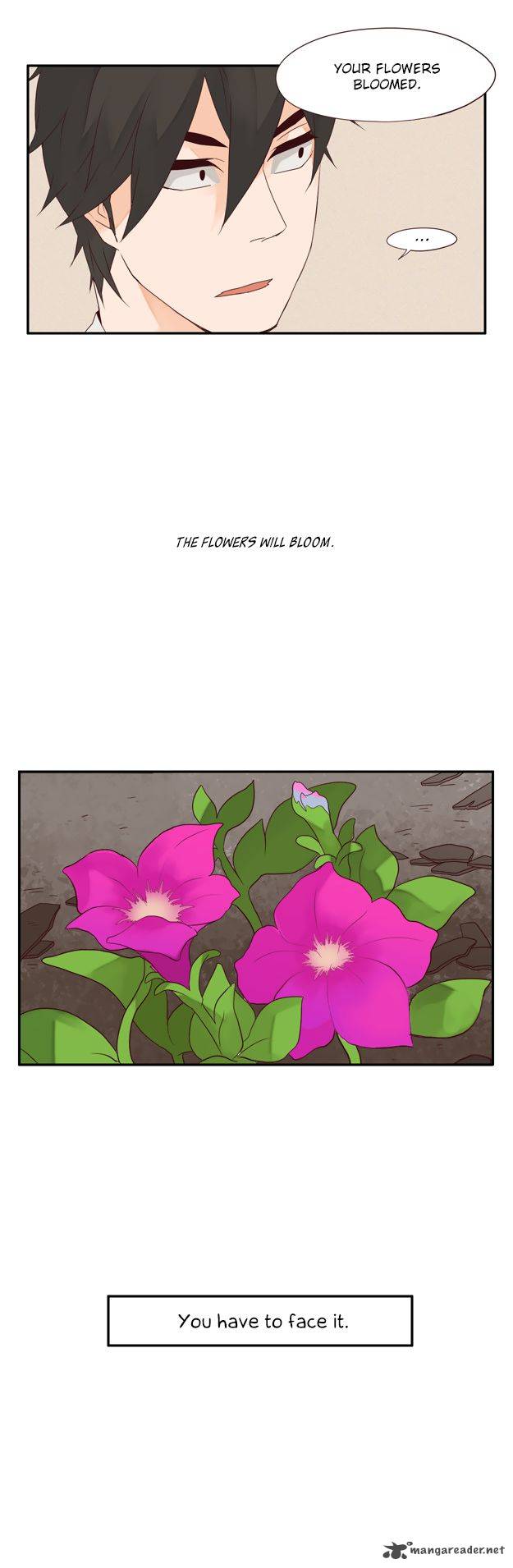 Pine In The Flower Garden 41 23