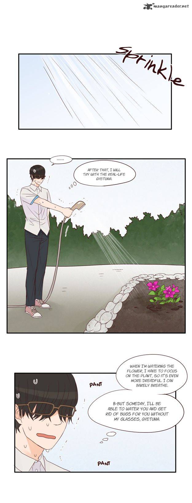 Pine In The Flower Garden 42 22