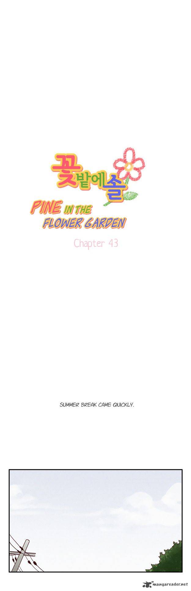 Pine In The Flower Garden 43 2