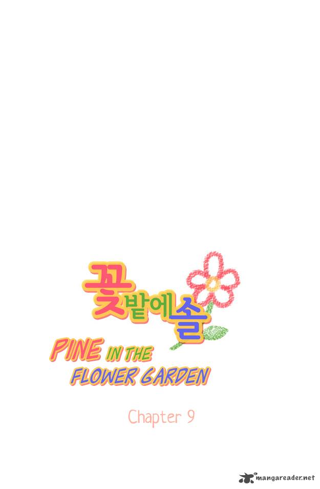 Pine In The Flower Garden 9 9