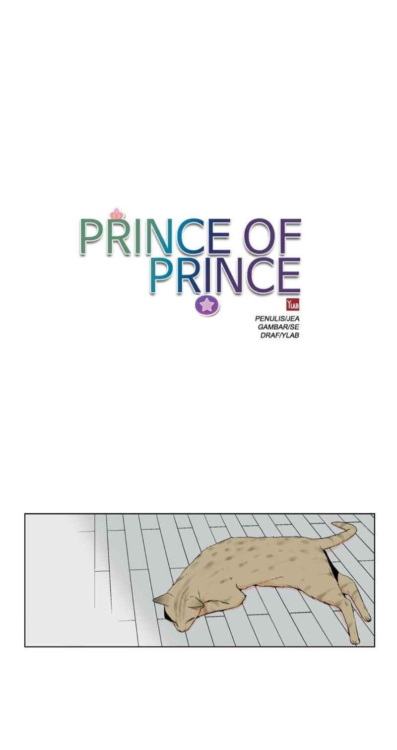 Prince Of Prince 47 1