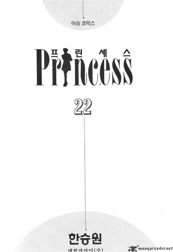 Princess 22 3