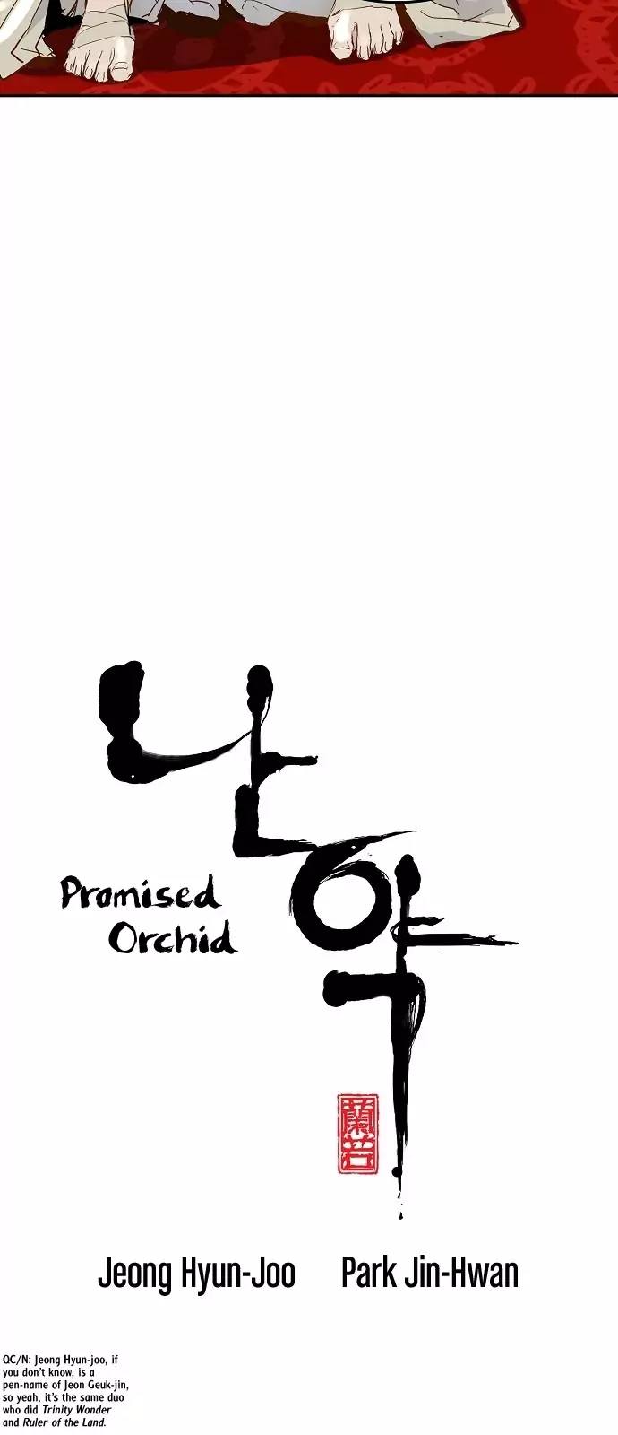 Promised Orchid 5 4