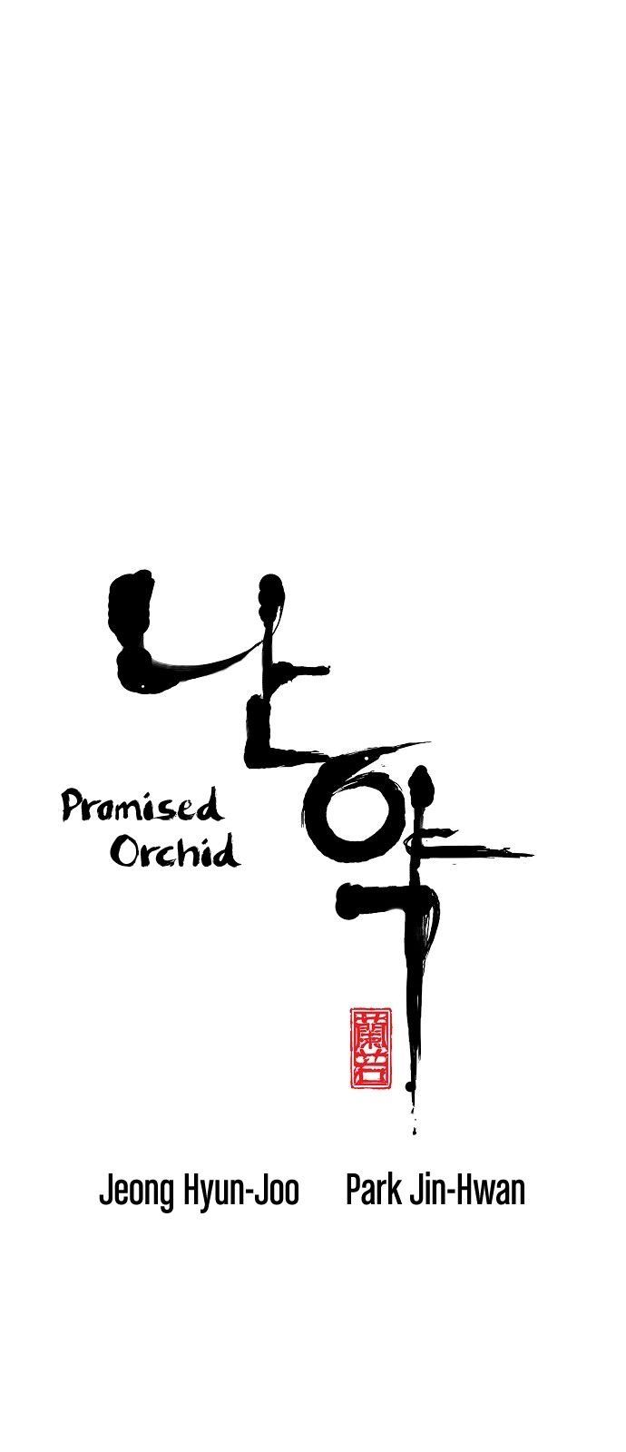 Promised Orchid 7 1