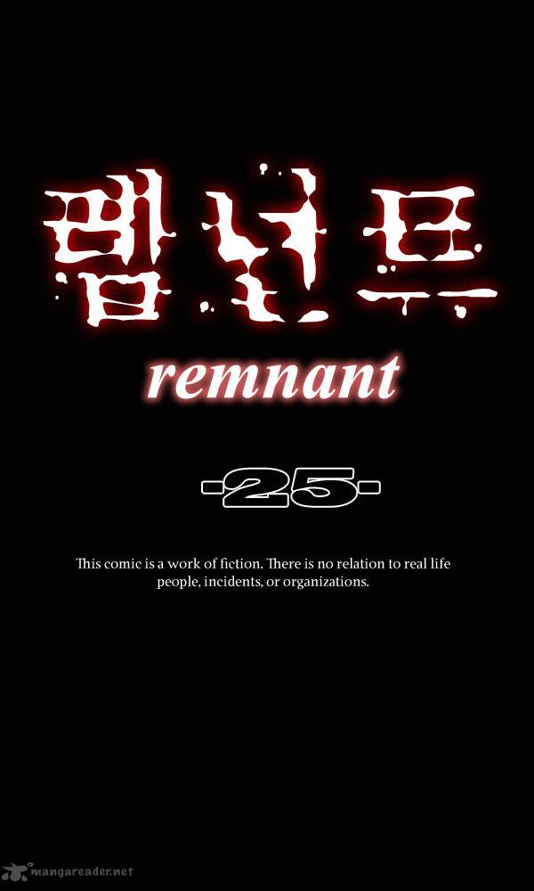 Remnant 25 5