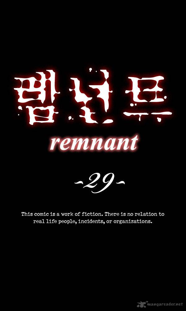 Remnant 29 2