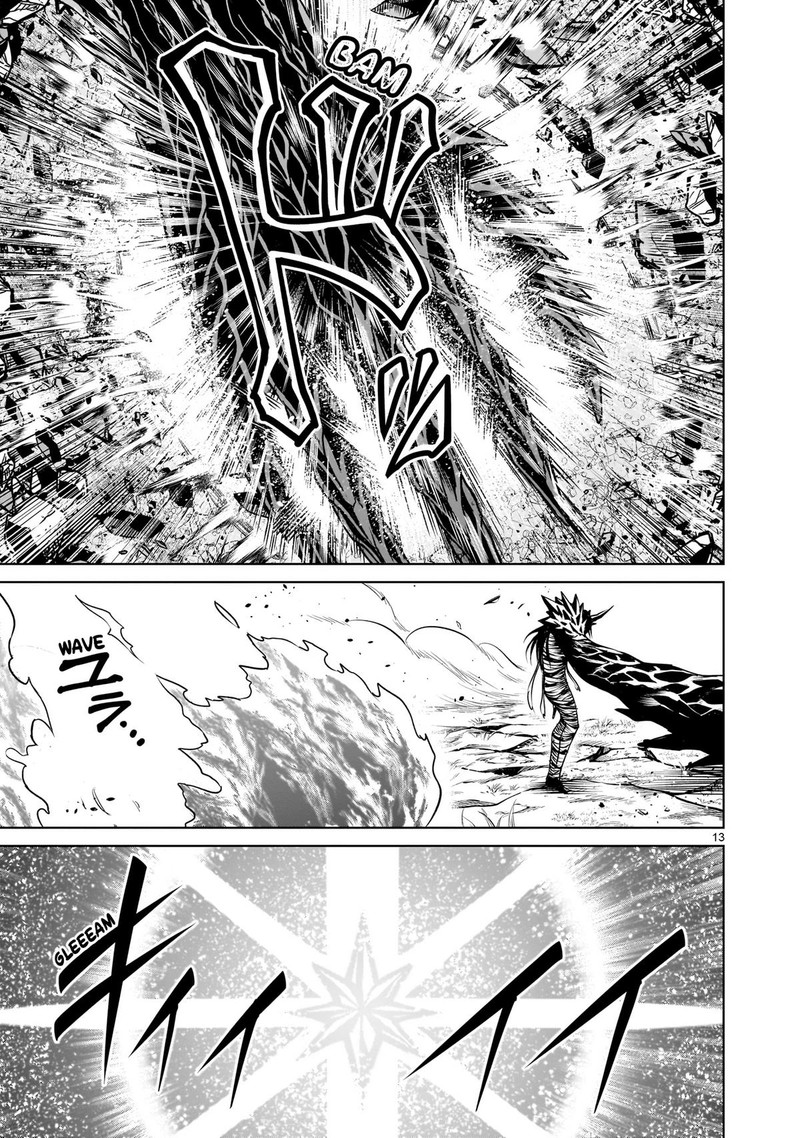 Rosen Garten Saga 73 13