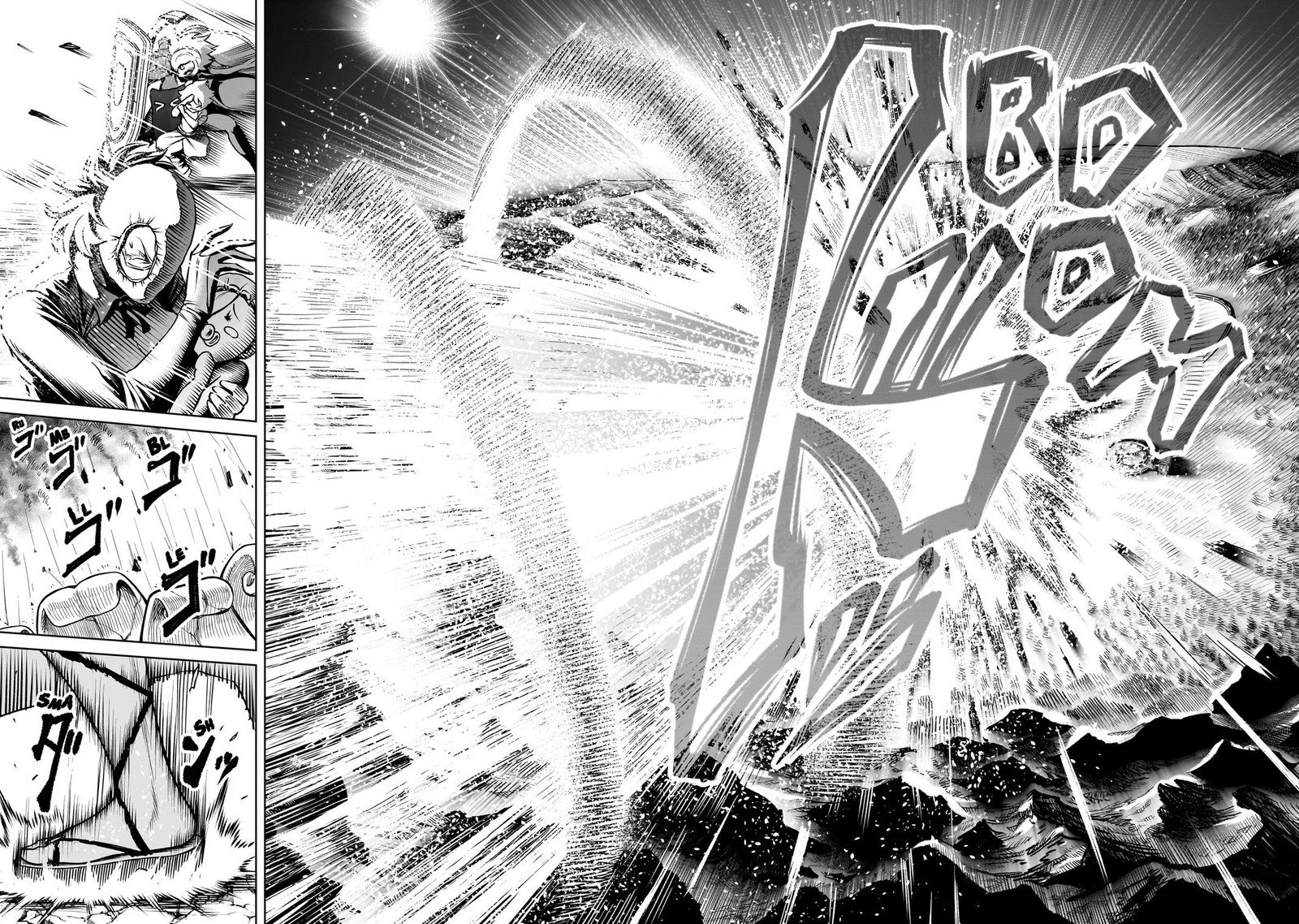 Rosen Garten Saga 87 10