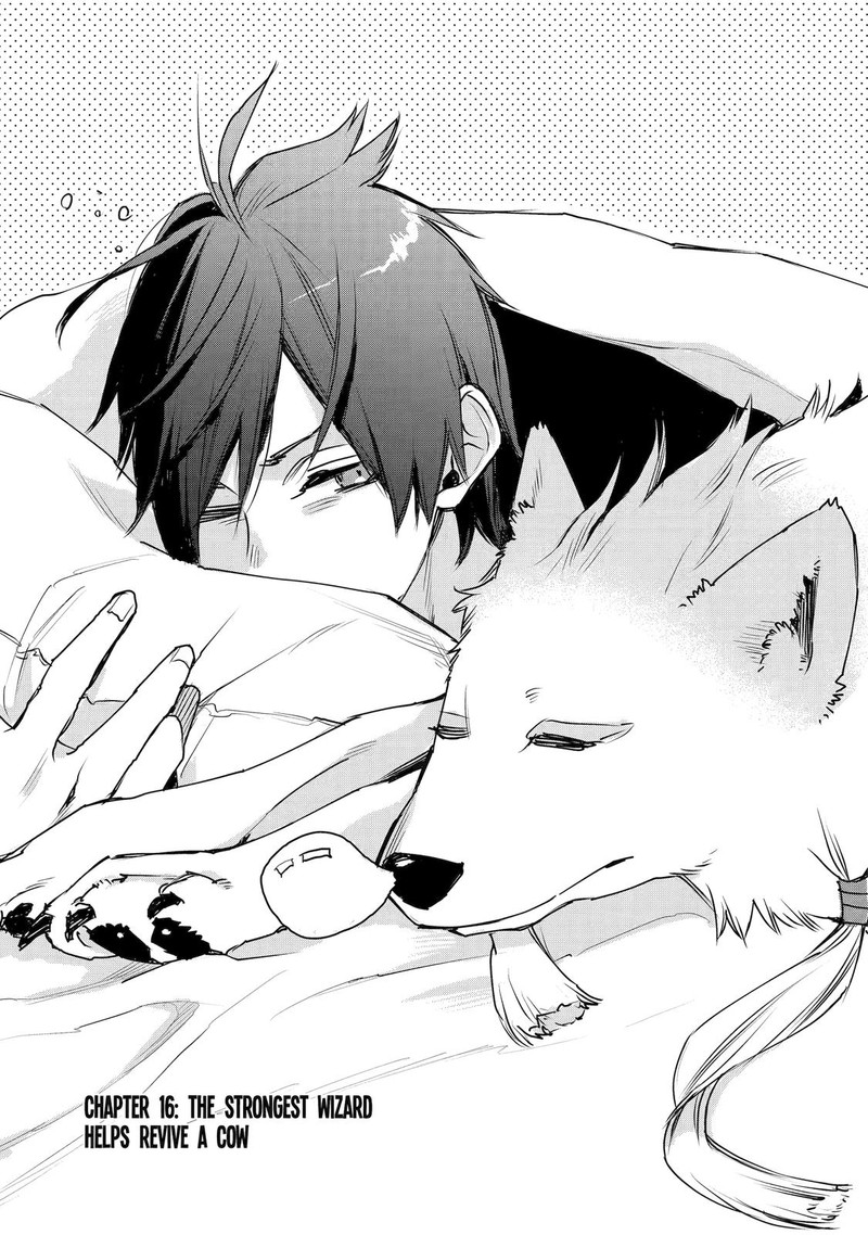 Saikyou No Madoushi Hiza Ni Ya O Ukete Shimatta Node Inaka No Eihei Ni Naru 16 1