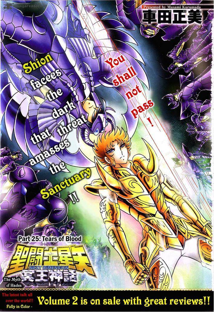 Saint Seiya Next Dimension 25 2