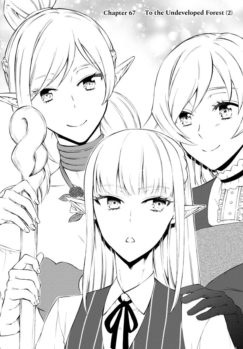 Seija Musou SararIIman Isekai De Ikinokoru Tame Ni Ayumu Michi 67 1