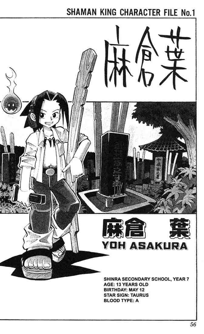 Shaman King 2 1