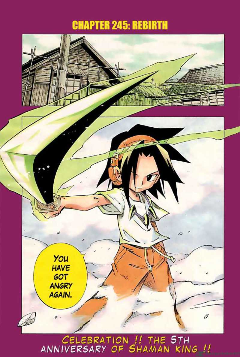 Shaman King 246 1