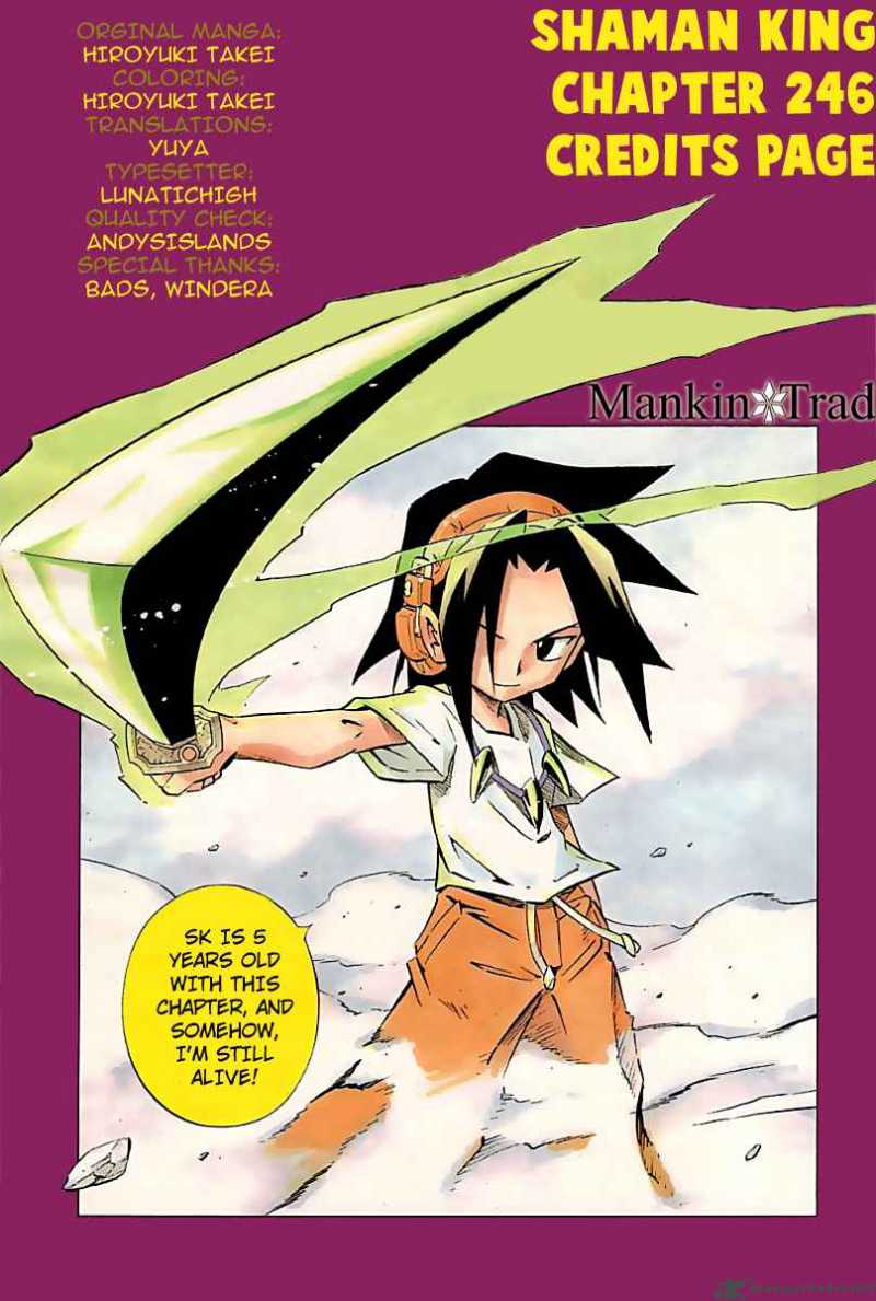 Shaman King 246 19