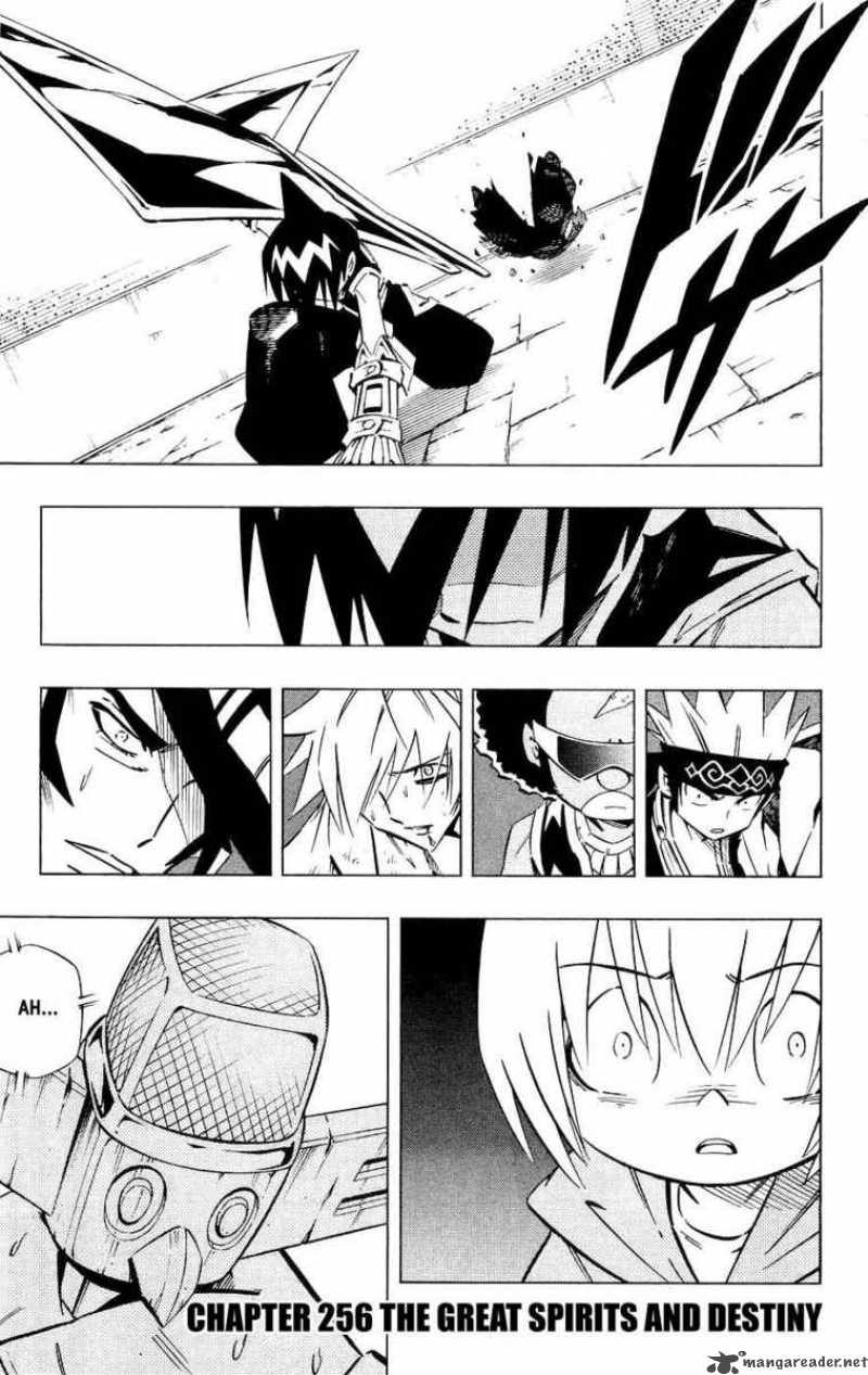 Shaman King 256 1