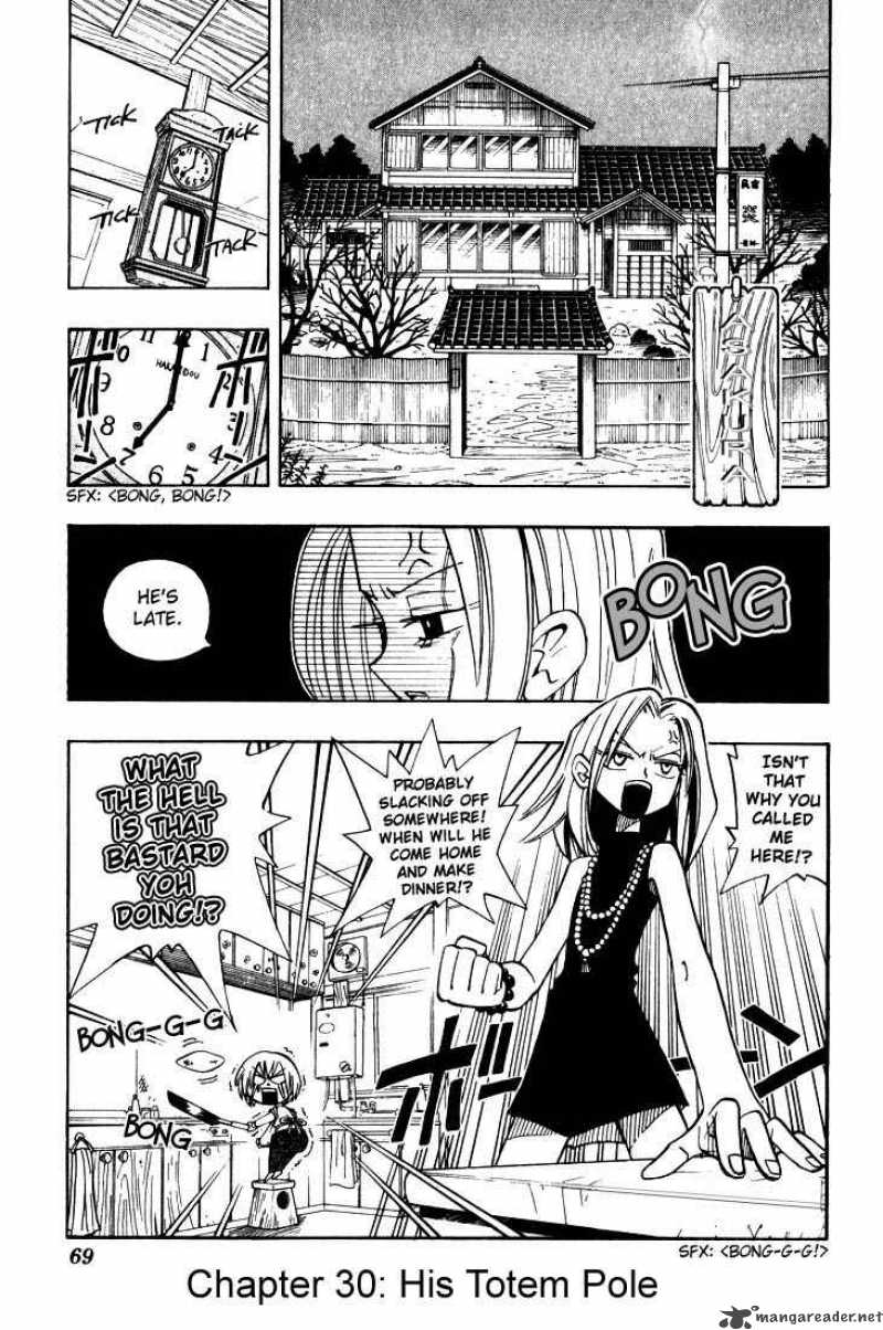 Shaman King 30 1