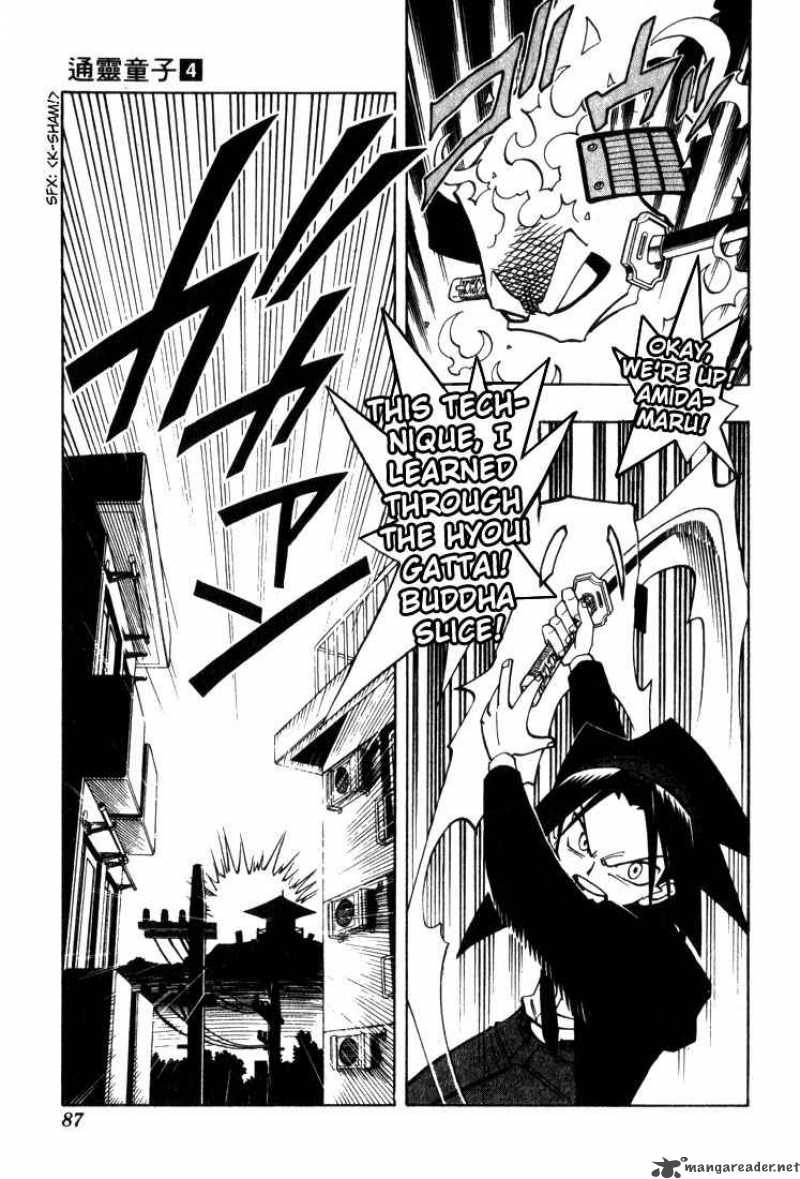 Shaman King 30 19