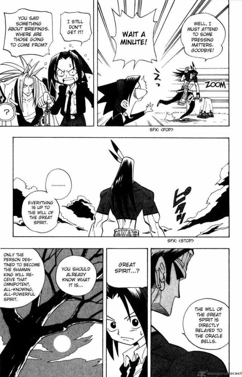 Shaman King 31 12