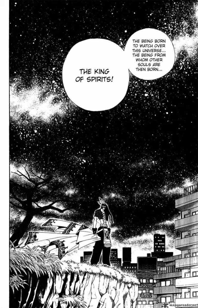 Shaman King 31 13