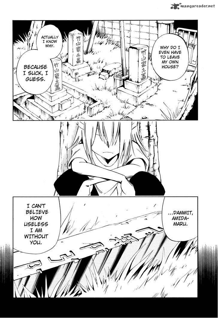 Shaman King Flowers 12 29