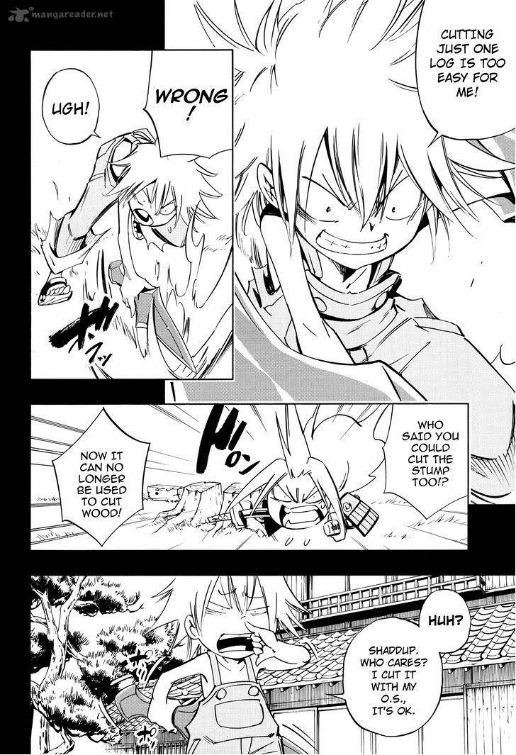 Shaman King Flowers 12 31