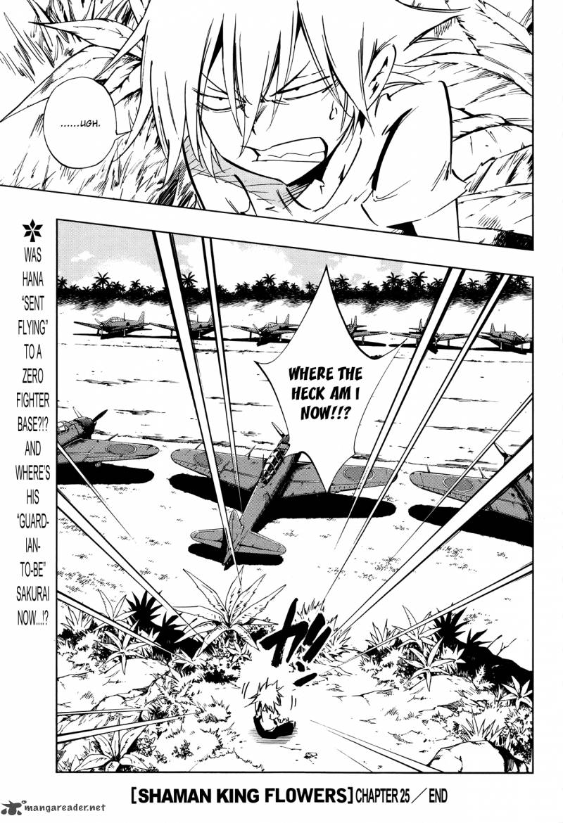 Shaman King Flowers 25 32