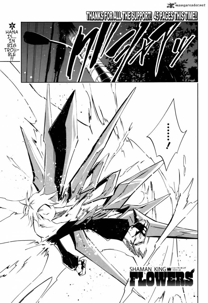 Shaman King Flowers 4 2