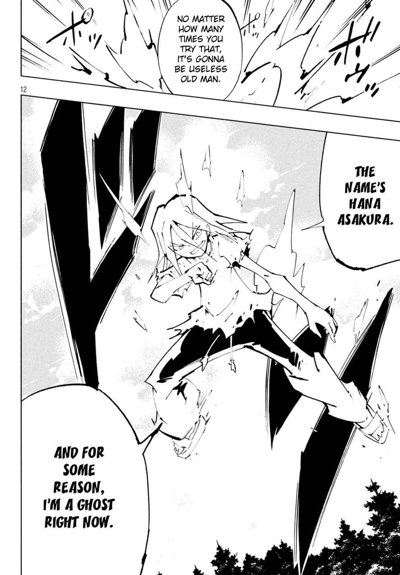 Shaman King The Super Star 10 10