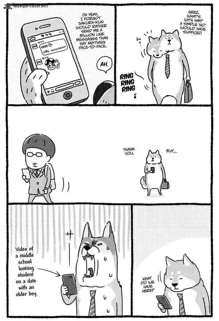 Shiba Occhan 5 3